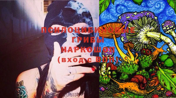 бошки Горняк